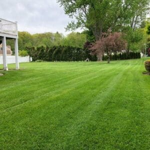 #1 Landscape Company in Wilmington MA