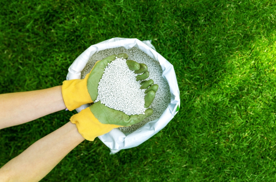5 Compelling Reasons to Hire a Professional Lawn Fertilizing Company