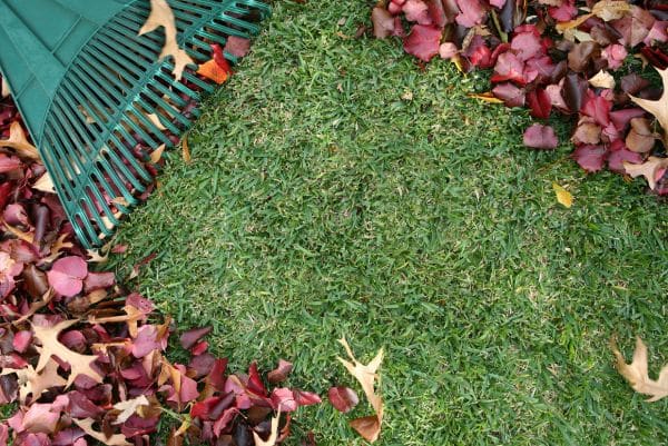 Elevated Aesthetics: How a Landscaper Can Make Your Yard Shine During the Fall Season