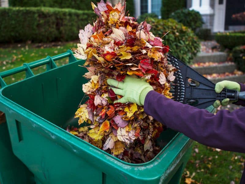 Expert Touch for Fall: The Advantages of Professional Landscapers in Preparing Your Yard