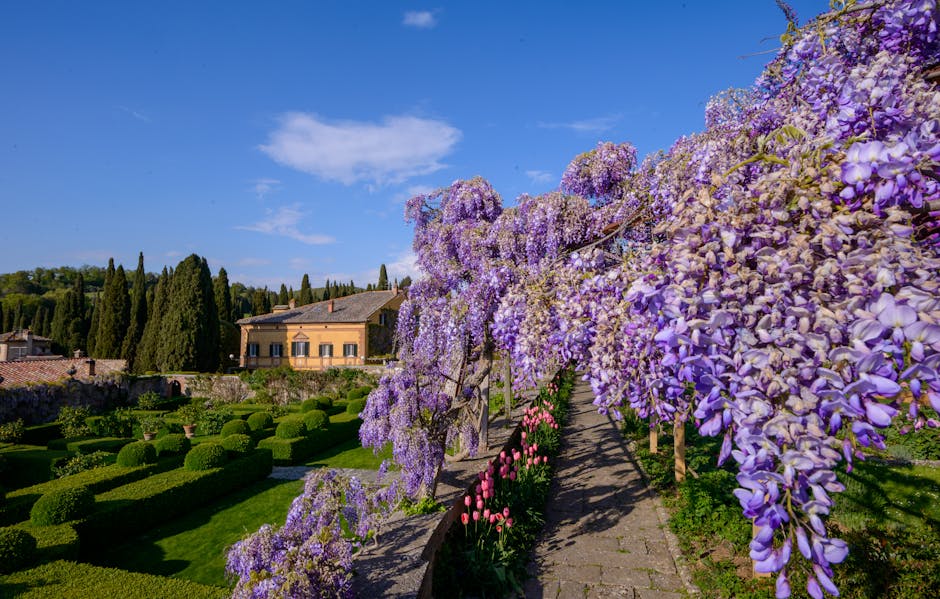 How to Spring Clean Your Landscape Fast by Using Simple Tips