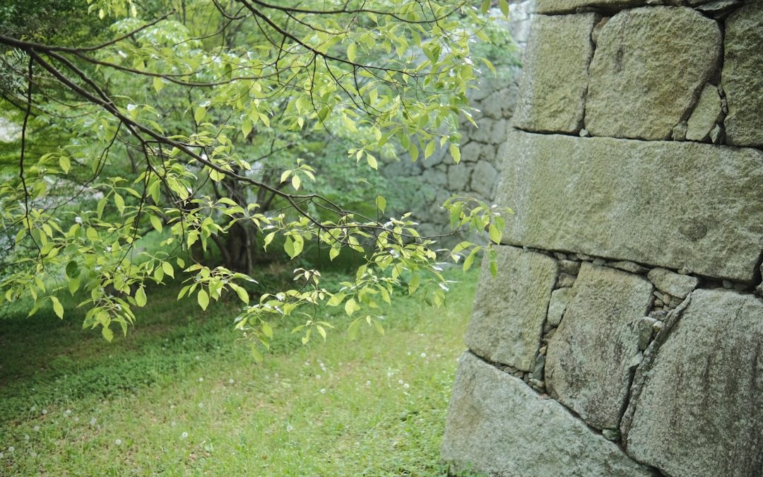 Your Guide to Crafting the Perfect Custom Stone Retaining Wall
