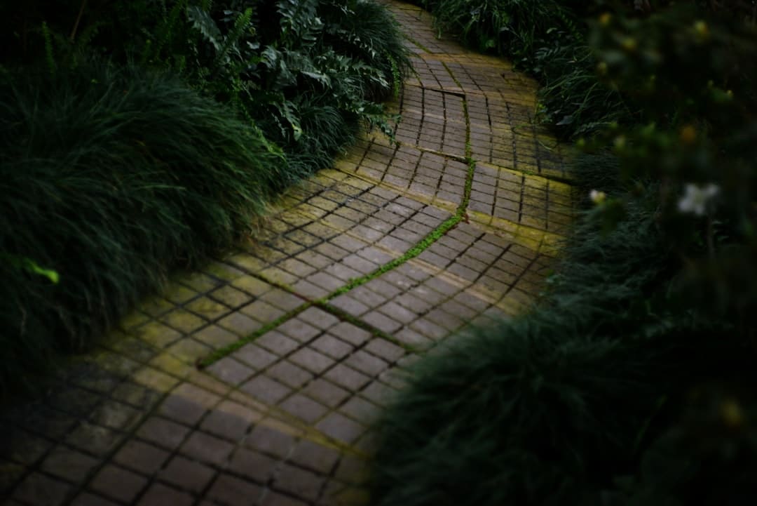 Beyond Concrete: 680 Inspiring Garden Path Designs