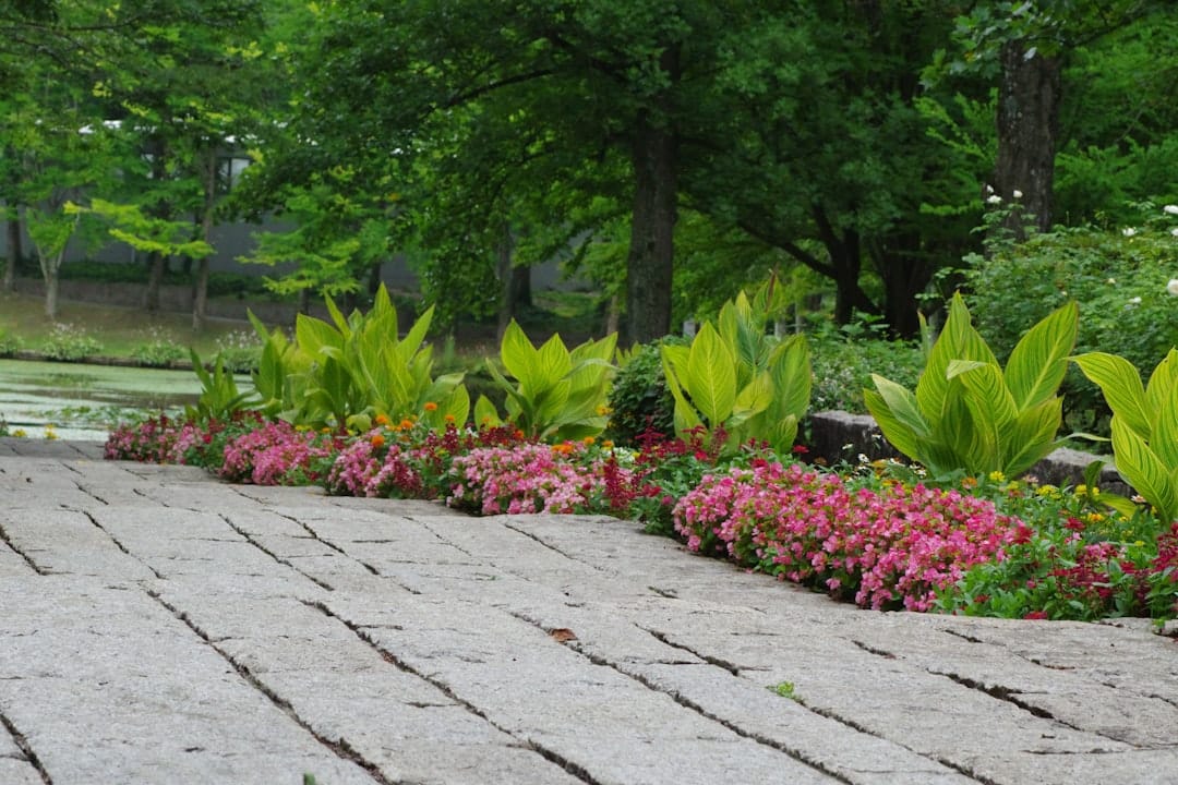 Paving Your Way: Discovering Top Landscaping Paver Suppliers Nearby