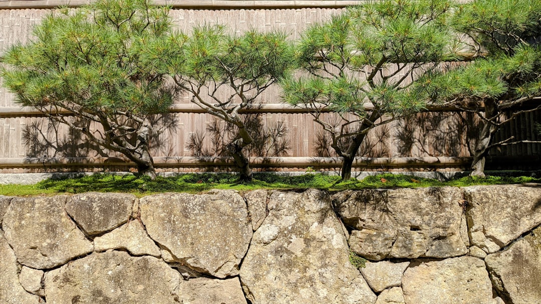Don’t Get Retained: How to Hire the Perfect Landscaping Wall Installer