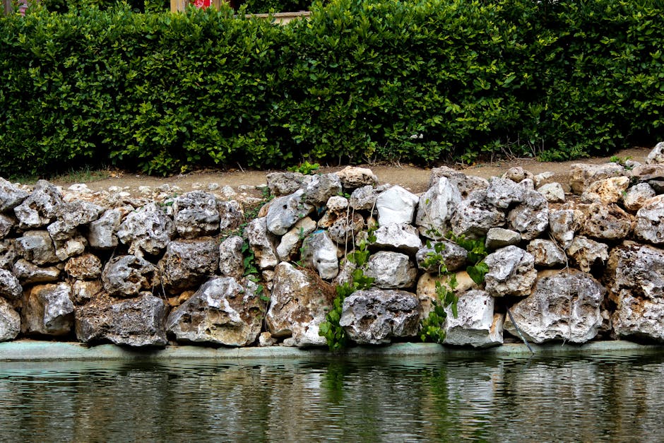 The Art of Stone Wall Building: What to Look for in a Contractor